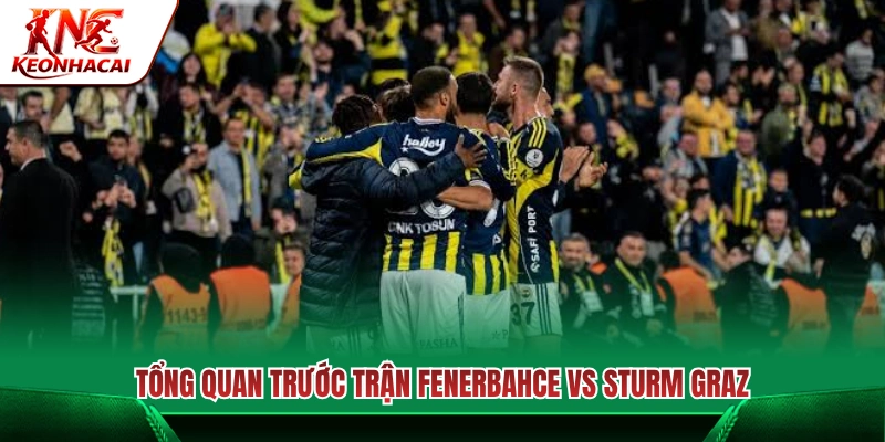 Nhìn lại tình hình hai đội trước trận Fenerbahce vs Sturm Graz 